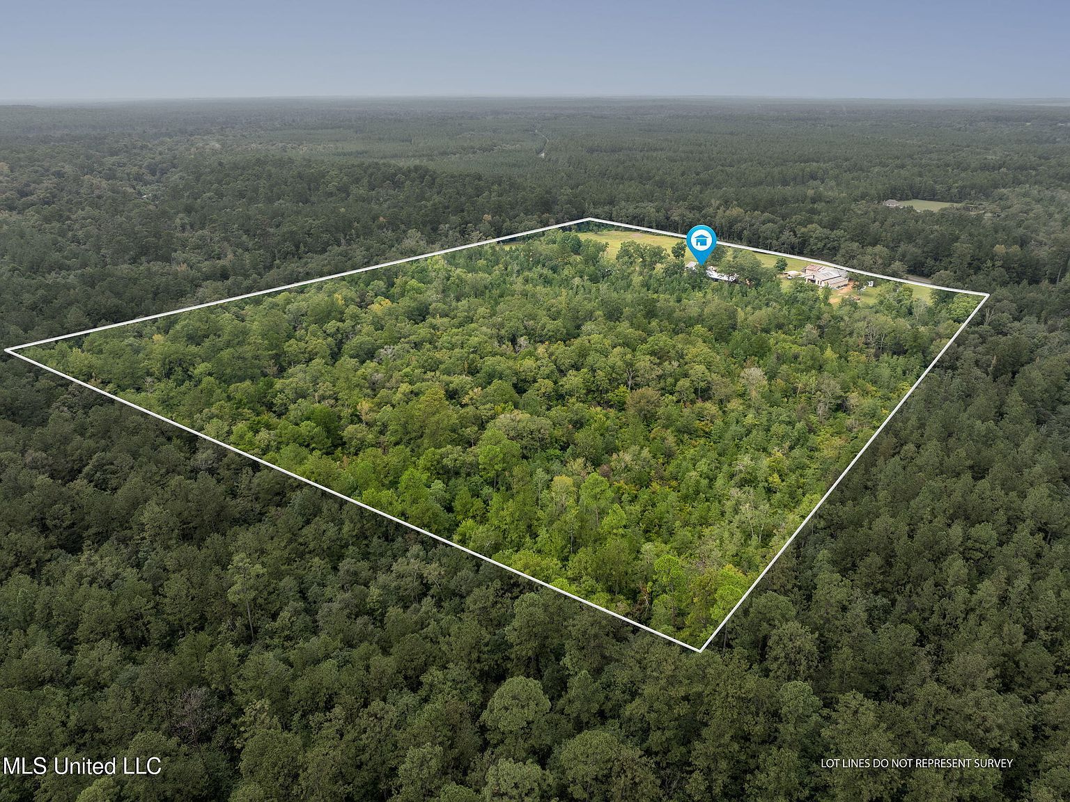 9641 Janice Brooklyn Rd Brooklyn, MS 39425 - Thumbnail 4