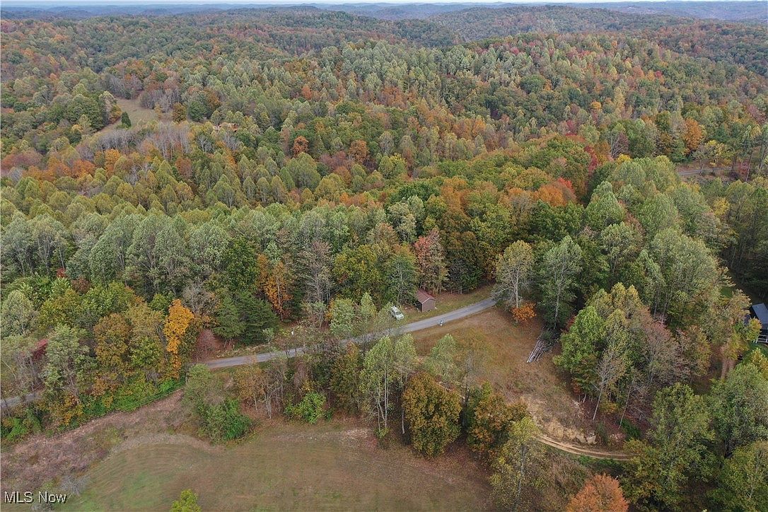 731 Riffle Run Rd Grantsville, WV 26147 - Thumbnail 4