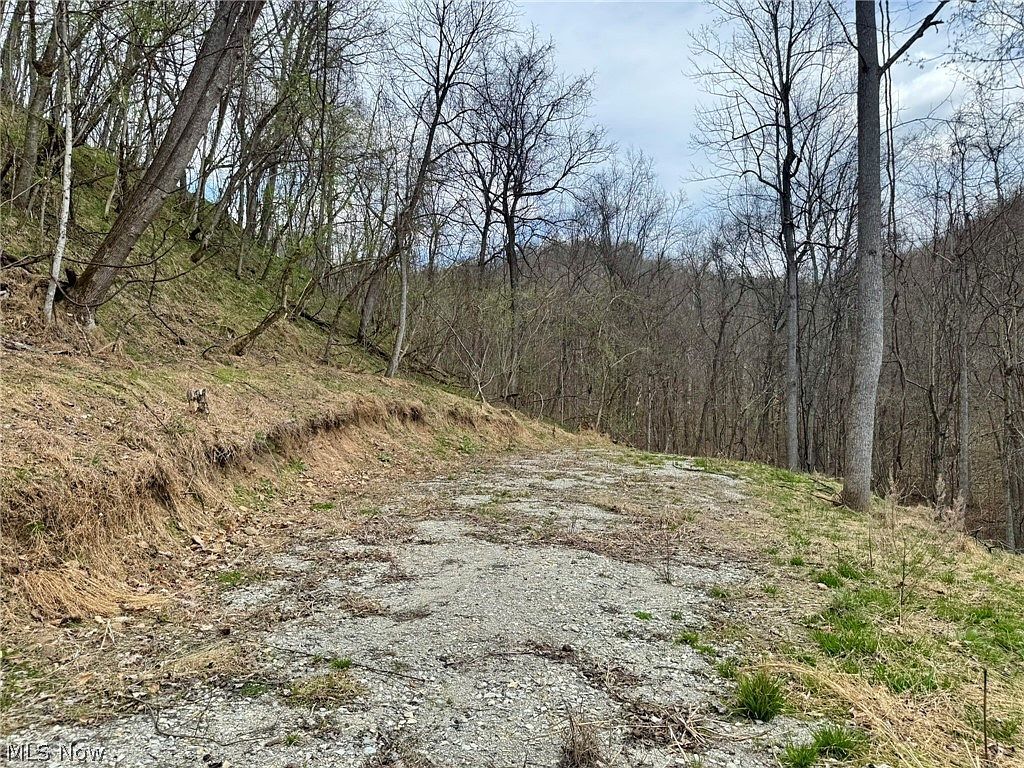 1536 Jakes Fork Rd Arnoldsburg, WV 25234 - Thumbnail 4