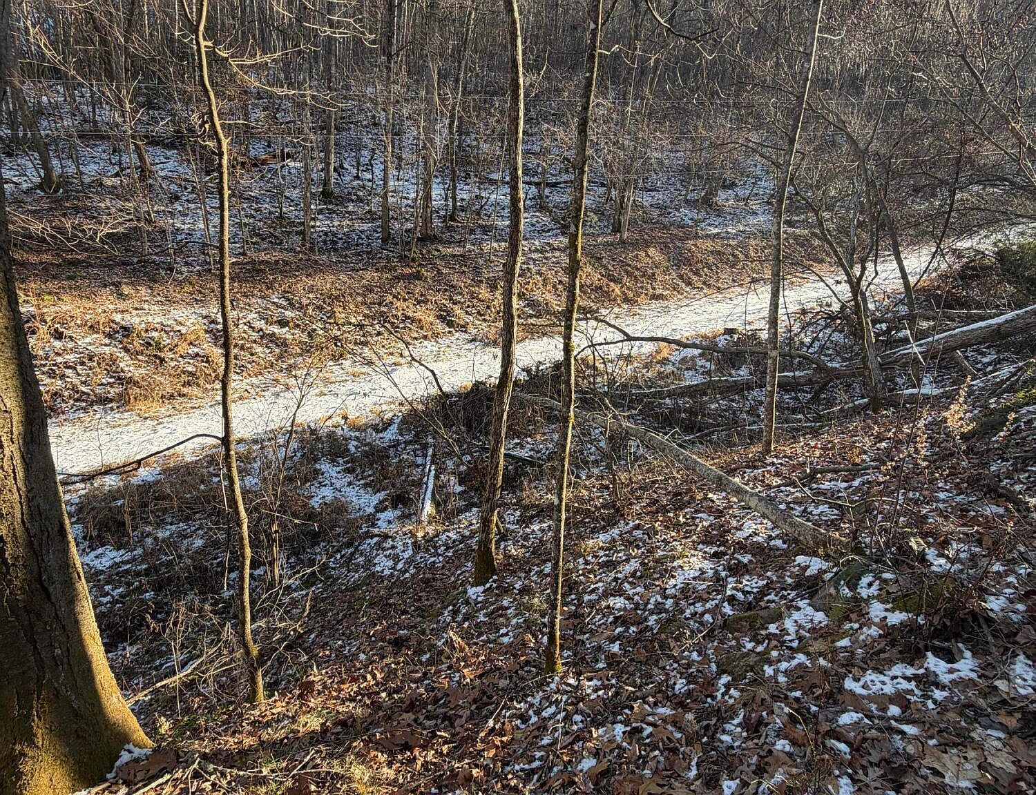 Williams Ln Butler, TN 37640 - Thumbnail 4