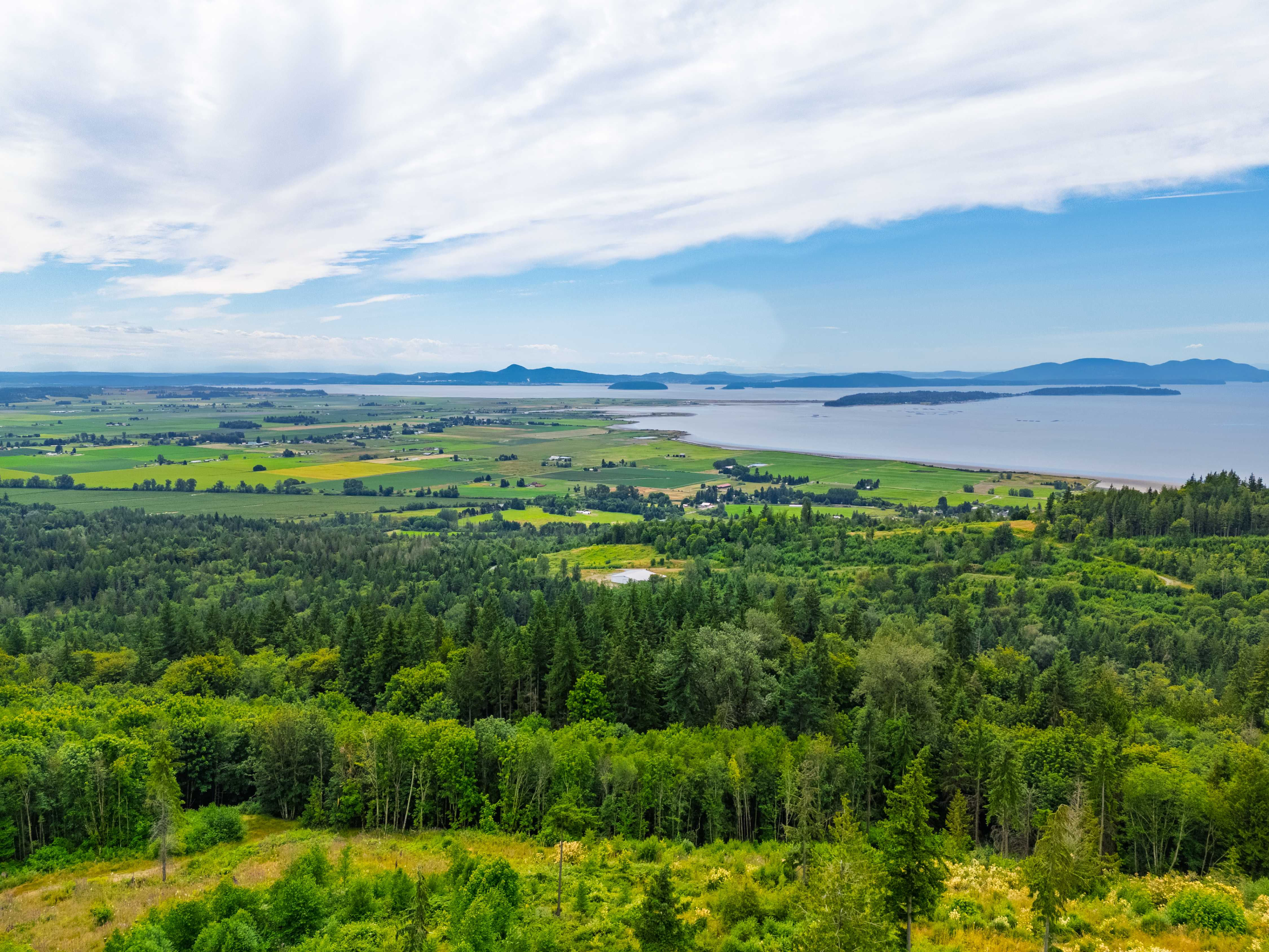 3284 Blanchard Knob Trl, Burlington, WA, USA, 98233 - Thumbnail 4