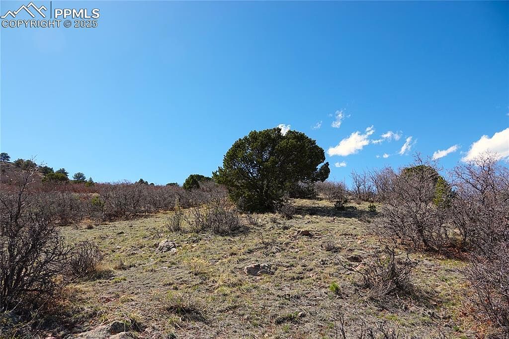 County Road 5 LOT 1 Canon City, CO 81212 - Thumbnail 4
