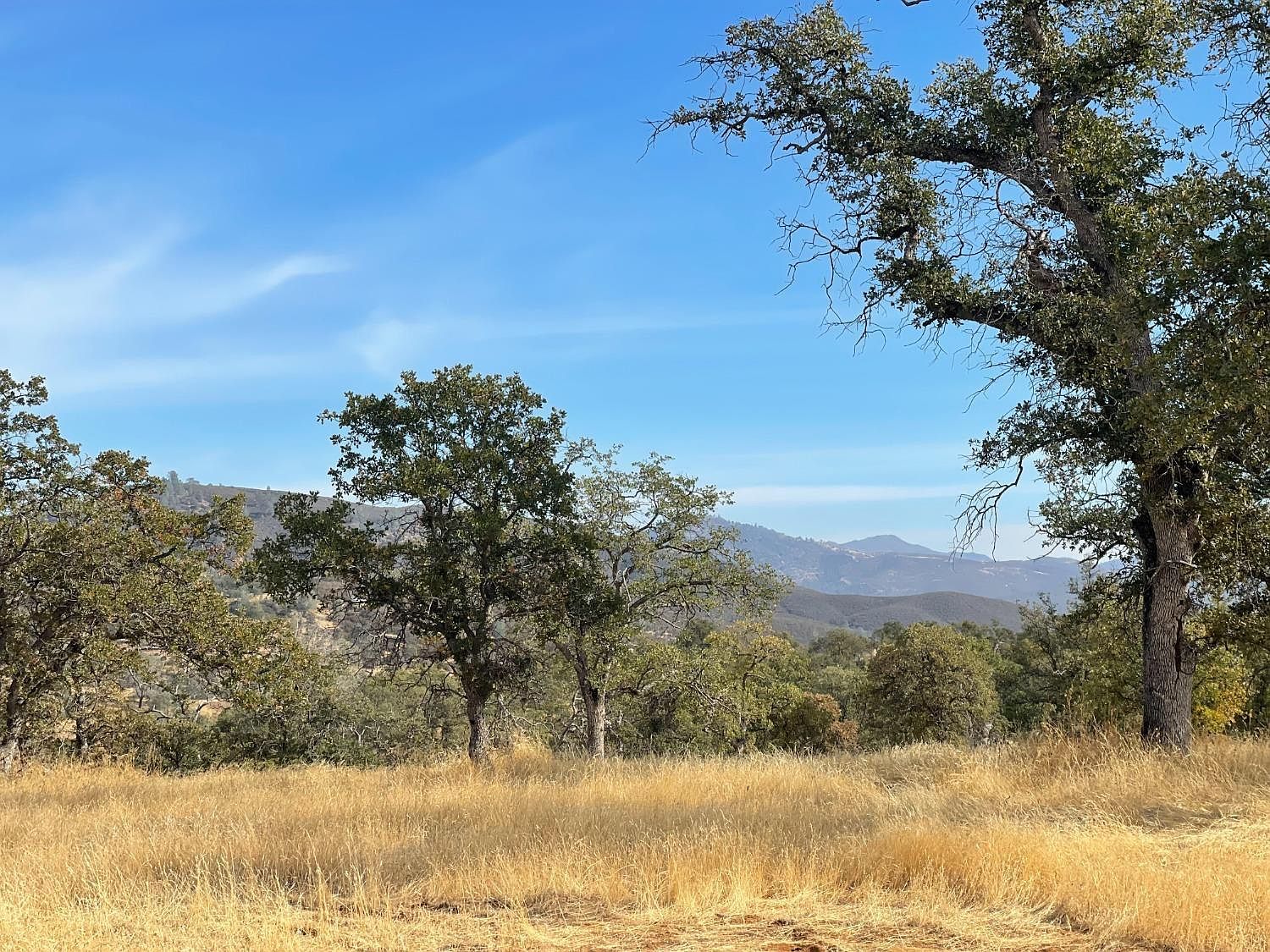 10090 Arbolada Dr La Grange, CA 95329 - Thumbnail 4