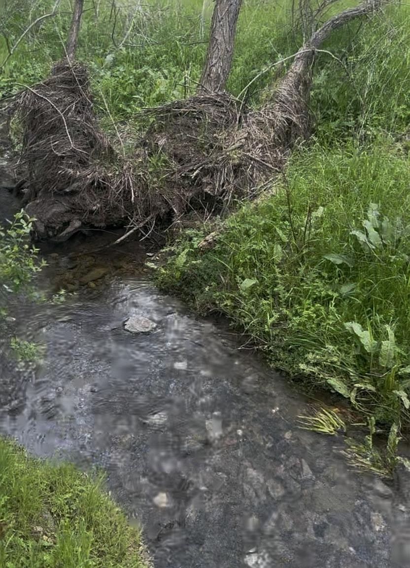 679 Zarzamora St, La Grange, CA, 95329 - Thumbnail 4