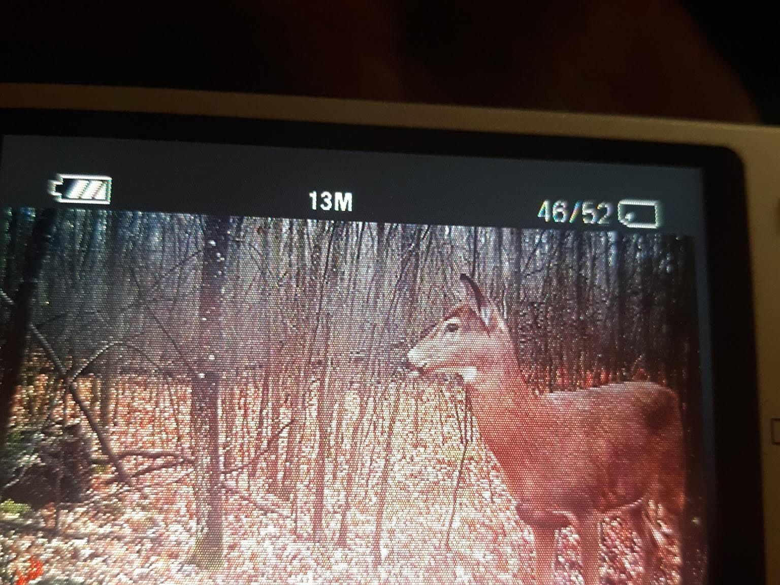 Camp Domino Trl Hillman, MI 49746 - Thumbnail 4