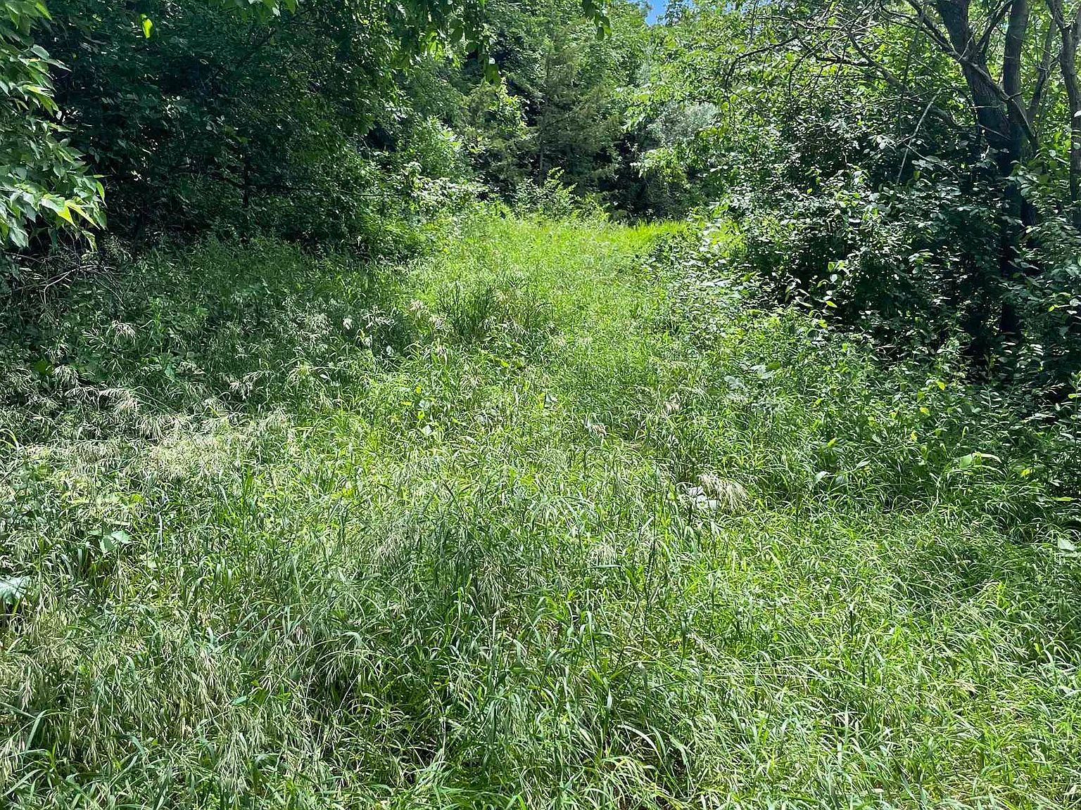 Crooked Oaks Crofton, NE 68730 - Thumbnail 4