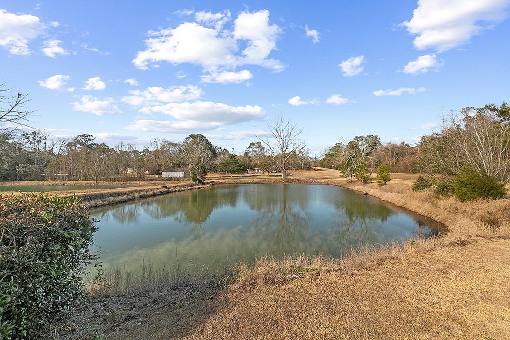 314 Alpha St Midland City, AL 36350 - Thumbnail 4