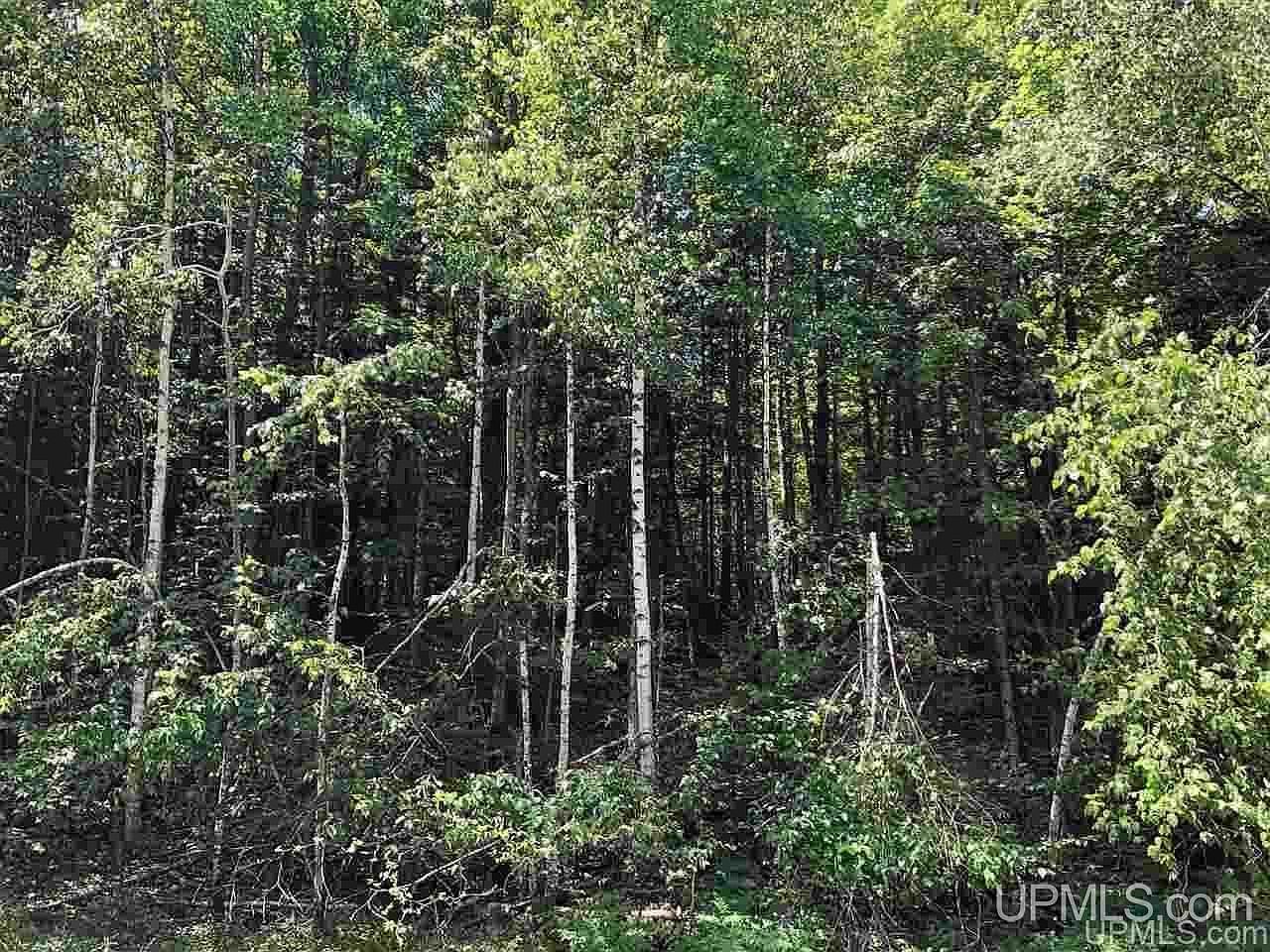 0 N Maplewood Rd Gwinn, MI 49841 - Thumbnail 4