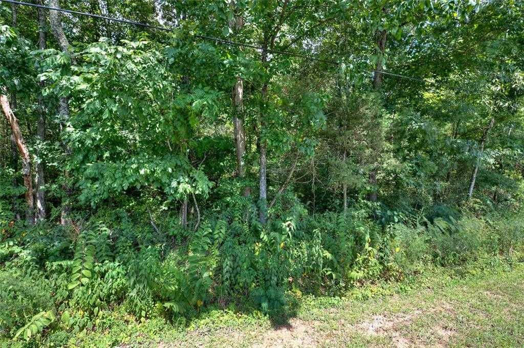 226 Old Dixie Highway Southeast, Adairsville, GA, USA, 30103 - Thumbnail 4