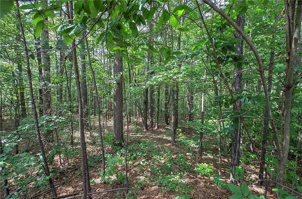 0 Forest Crk #38 Dallas, GA 30132 | Land/Lot