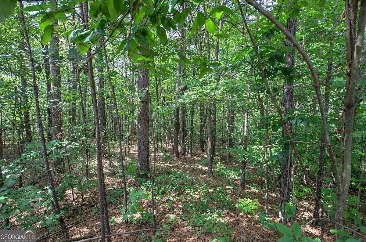 0 Forest Crk Dallas, GA 30132  | Land/Lot