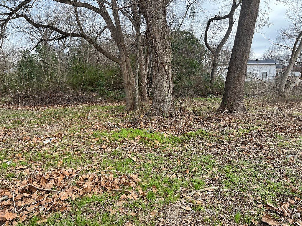 207 S Jackson St Palestine, TX 75801 - Thumbnail 4