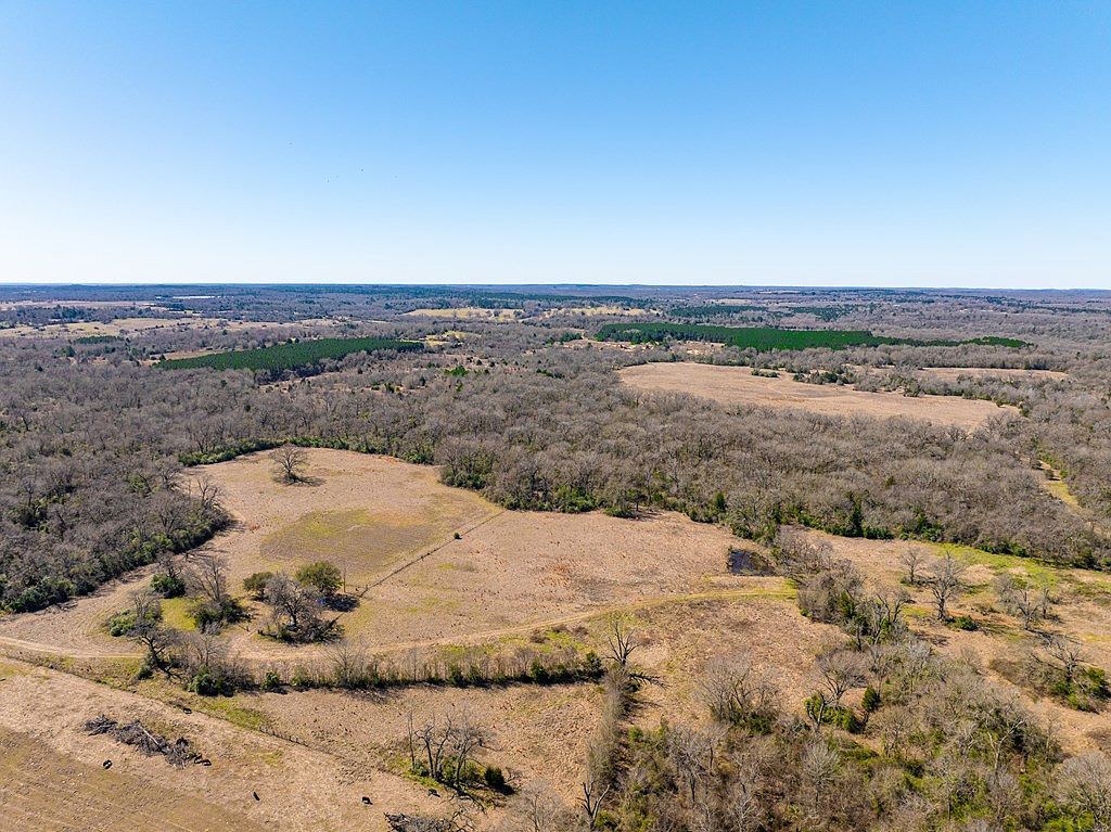 0 Freestone County Rd #296 Oakwood, TX 75855 - Thumbnail 4