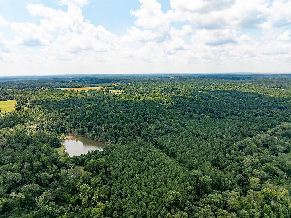 825 An County Rd #1200 Elkhart, TX 75839 - Thumbnail 4