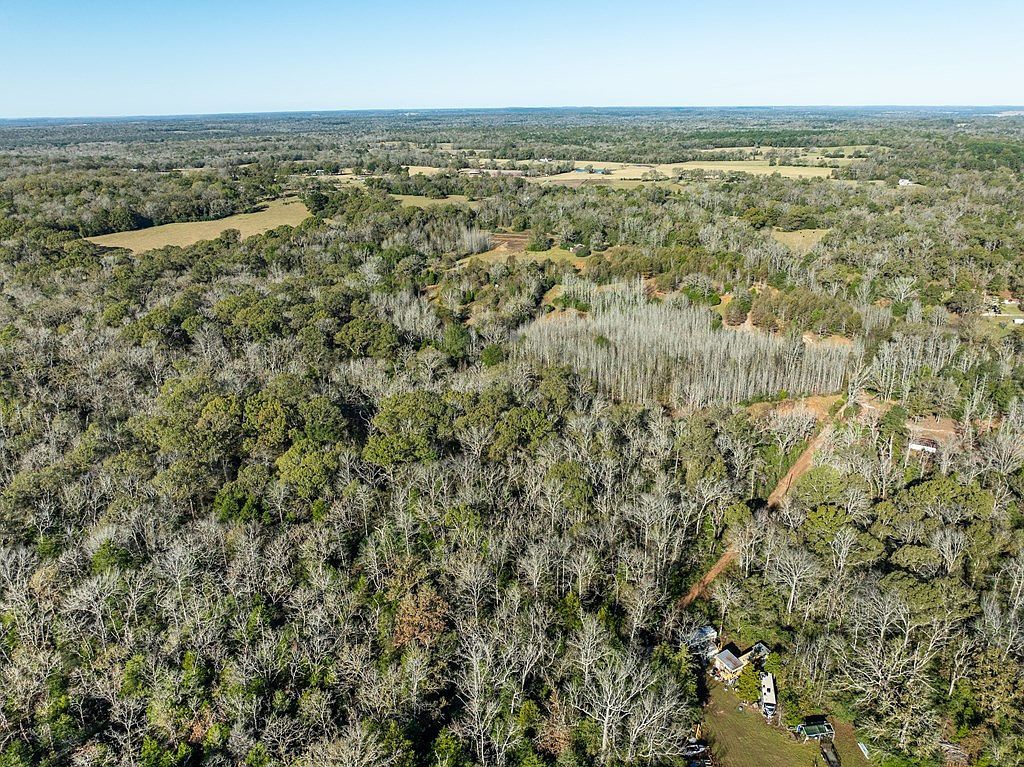 Fm 831 Oakwood, TX 75855 - Thumbnail 4