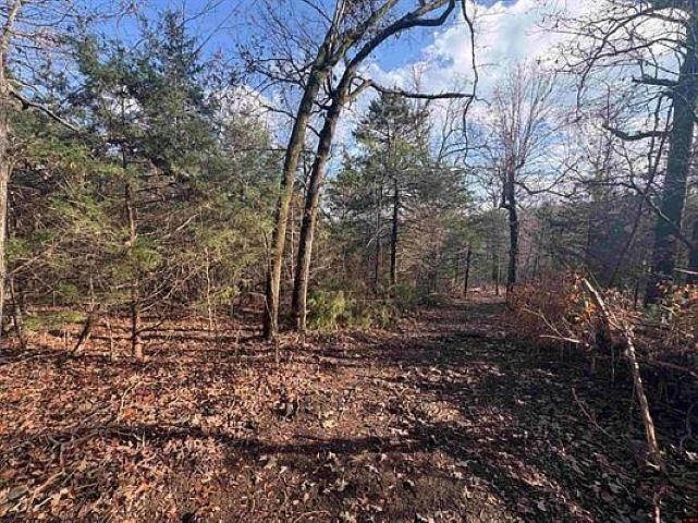 TRACT C & D Hwy #101 Gamaliel, AR 72537 - Thumbnail 4