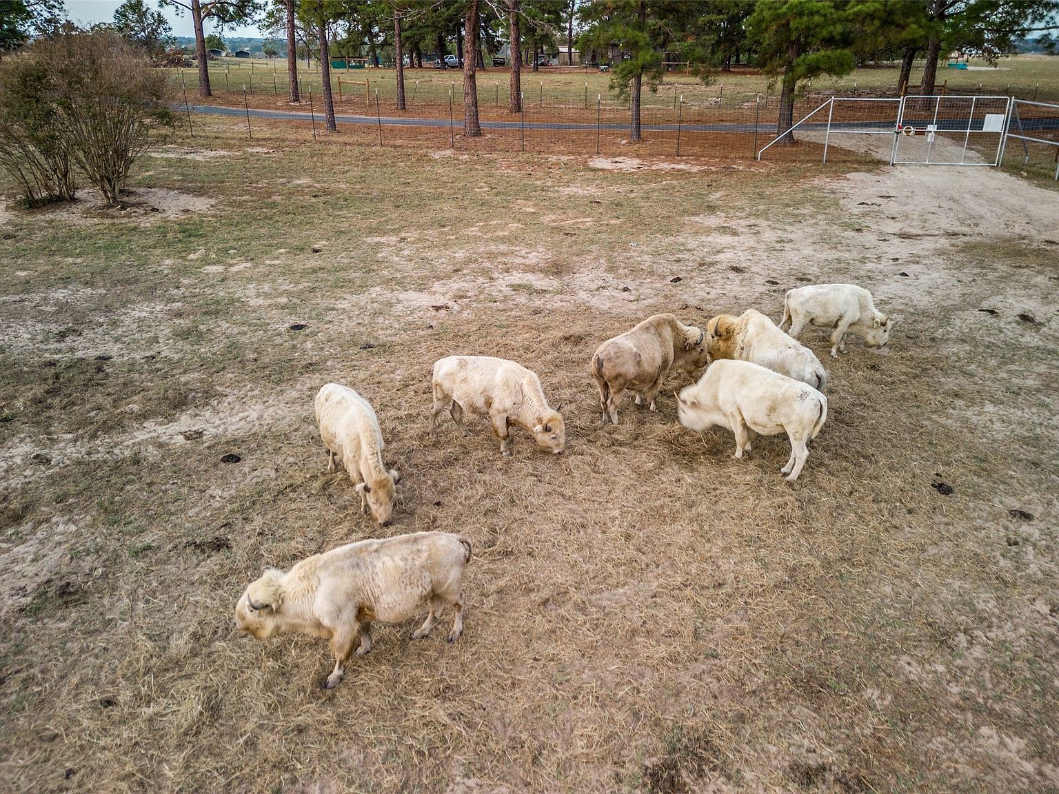 6700 Valley View Dr Athens, TX 75752 - Thumbnail 4