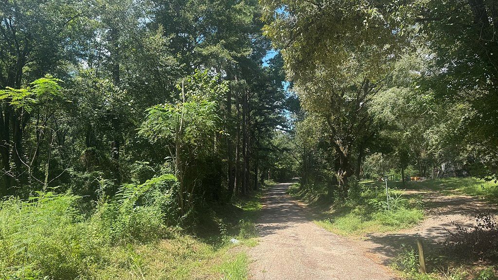 194 An County Rd #334 Palestine, TX 75803 - Thumbnail 4