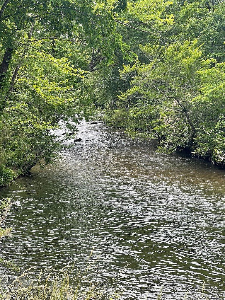 1072 Helen Zachary Rd Cullowhee, NC 28723 - Thumbnail 4