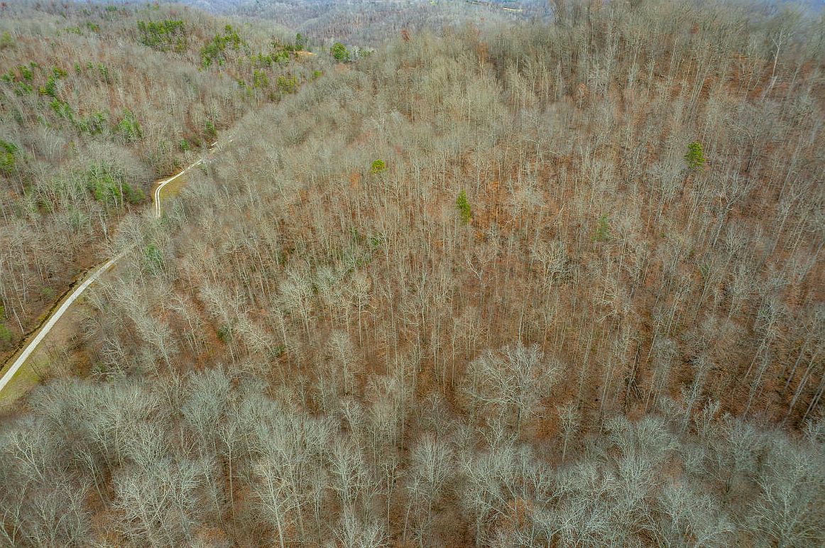 9999 Stable Br Salyersville, KY 41465 - Thumbnail 4