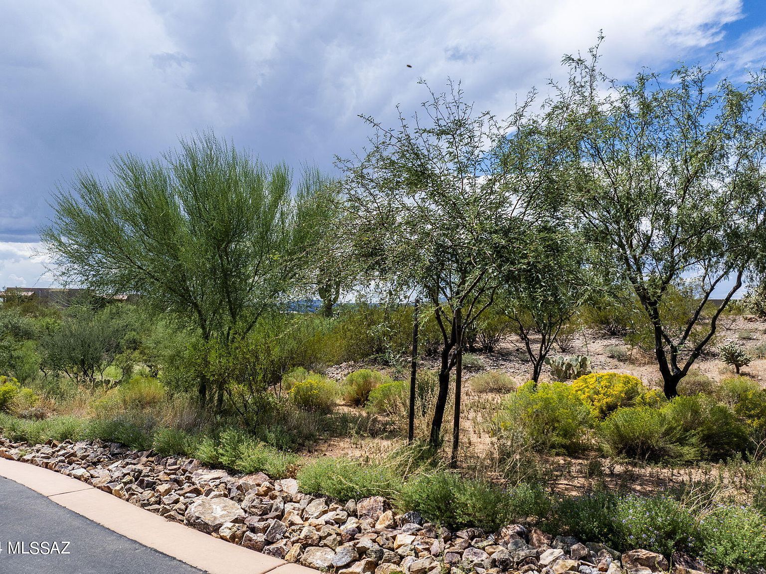 111 N Gunflint Pl #189 Sahuarita, AZ 85629 - Thumbnail 4