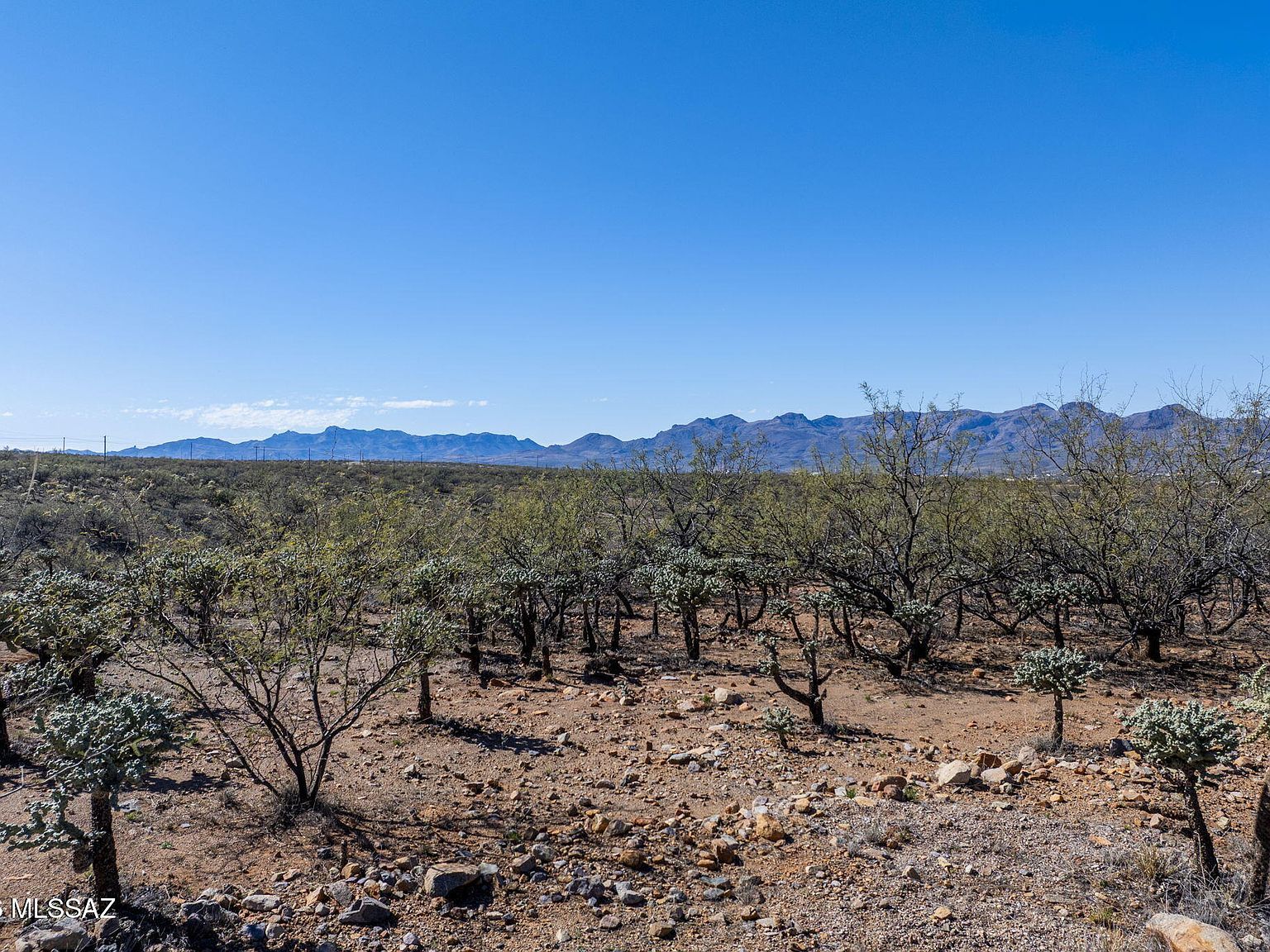 1841 Calle Caracol #56-RIO Rio Rico, AZ 85648 - Thumbnail 4