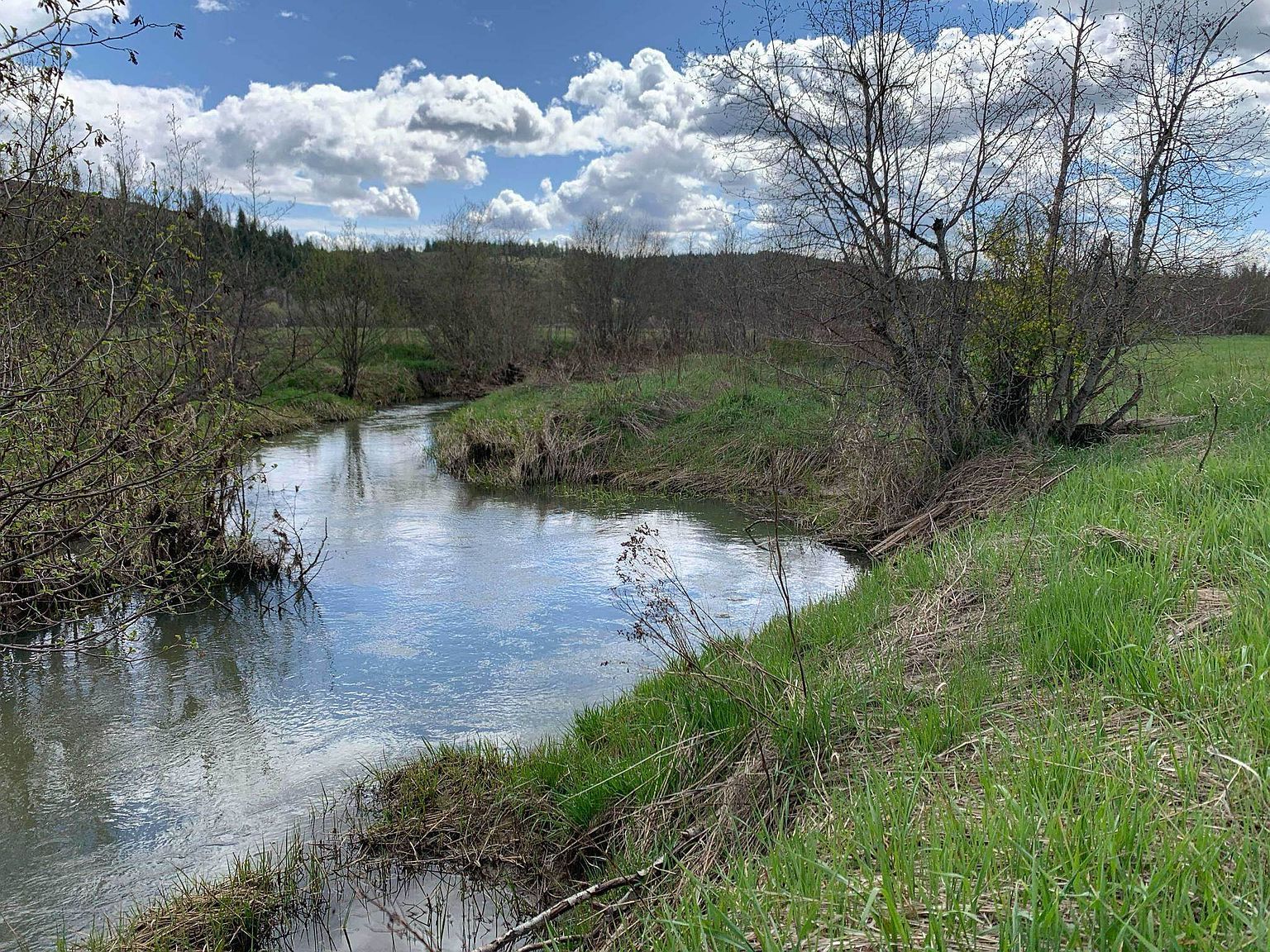 4681 Springdale Hunters Rd Springdale, WA 99173 - Thumbnail 4