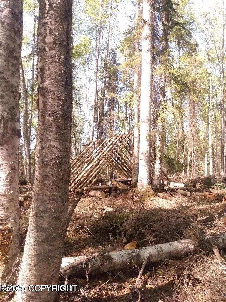 Township Road E No Rd Big Lake, AK 99652 - Thumbnail 4