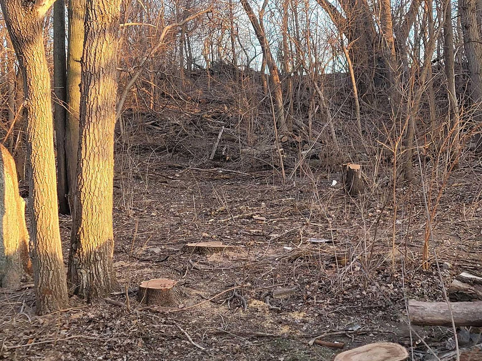 3003 W Lincoln Way Marshalltown, IA 50158 - Thumbnail 4