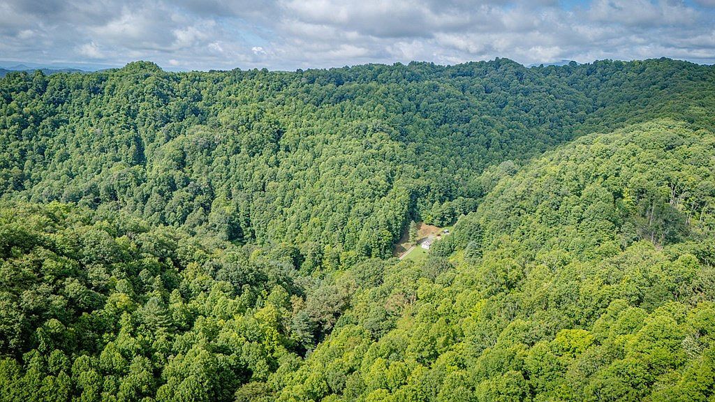 Tbd Lynn Springs Rd Swords Creek, VA 24649 - Thumbnail 4