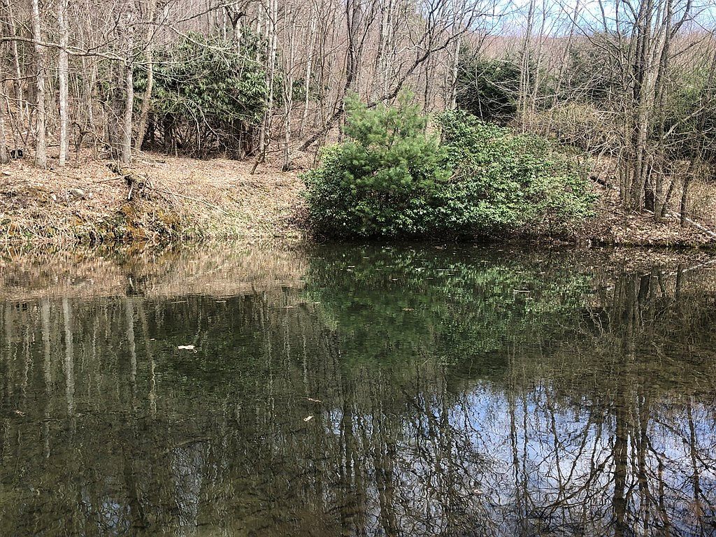 0 Helton Creek Ln Whitetop, VA 24292 - Thumbnail 4