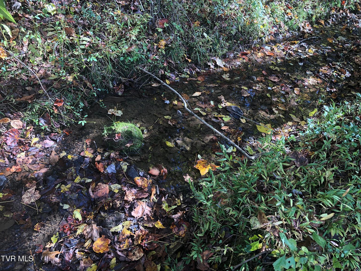 0 Rich Valley Rd LOT 63 Bristol, VA 24201 - Thumbnail 4