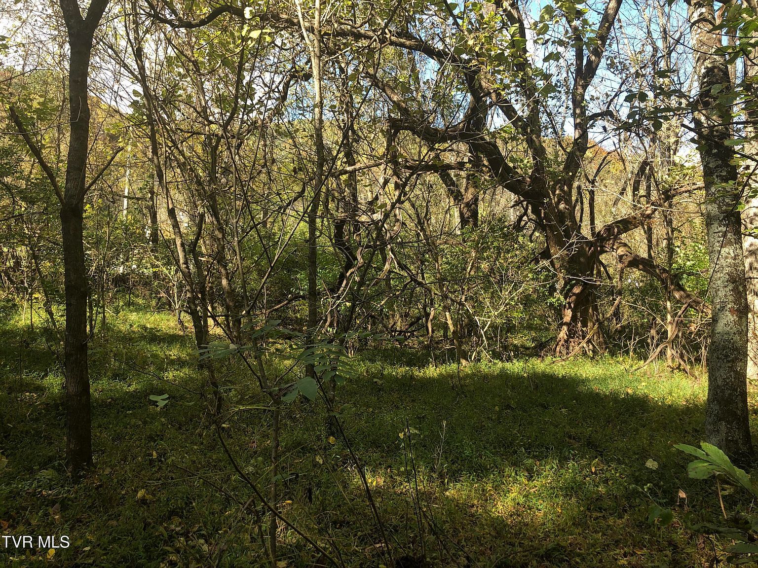 0 Rich Valley Rd LOT 65 Bristol, VA 24201 - Thumbnail 4