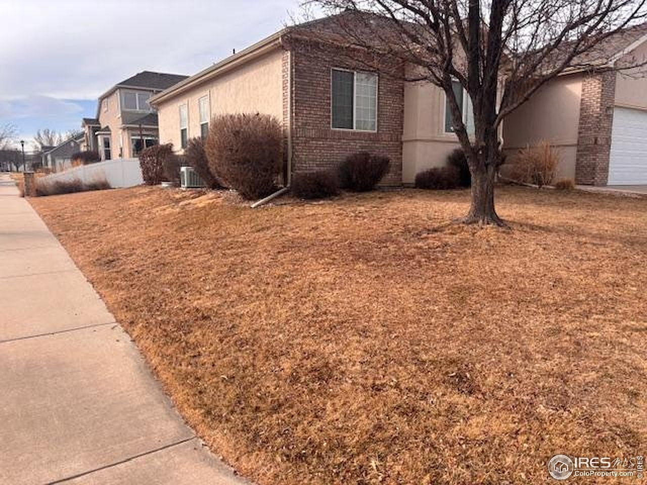 3323 Costanita St Evans, CO 80620 - Thumbnail 4