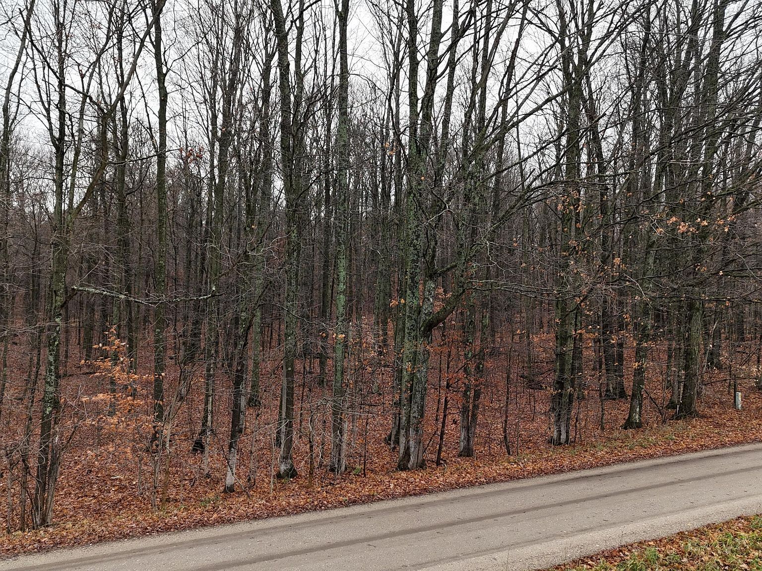 McClish Aka Bigge Copemish, MI 49625 - Thumbnail 4