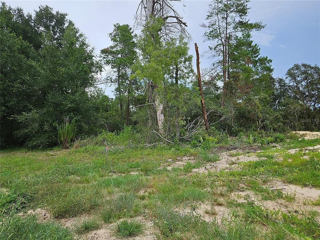 0 SW 46th Cir Ocala, FL 34473 - Thumbnail 4