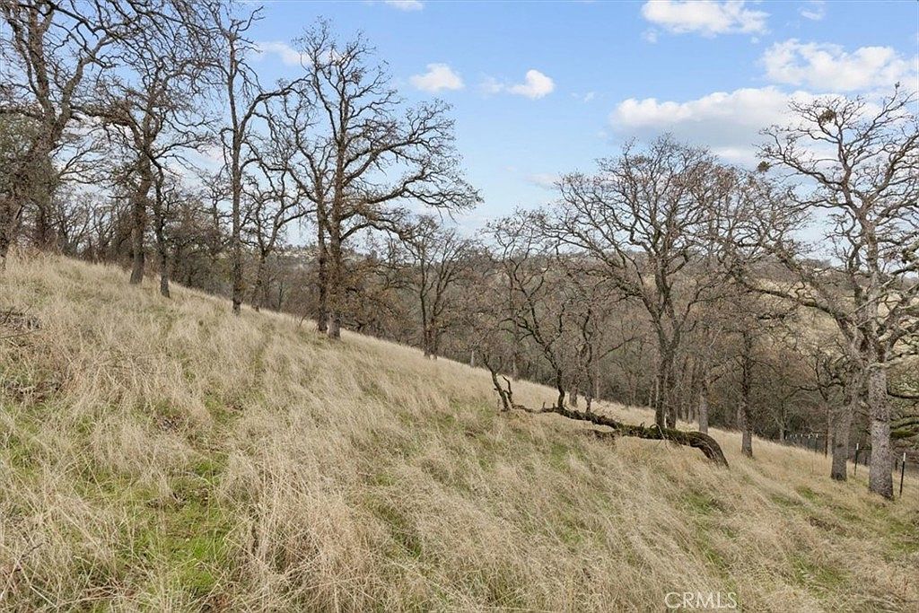 10996 Peoria Rd Browns Valley, CA 95918 - Thumbnail 4