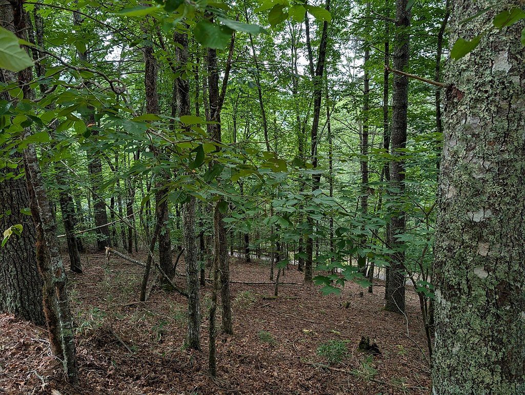 0 Chestnut Hill Dr Franklin, NC 28734 - Thumbnail 4