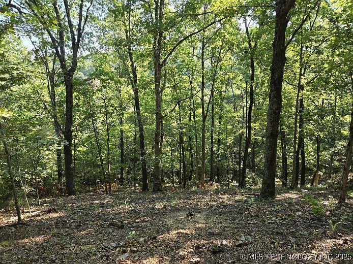 6620 N Starr Ridge Rd Proctor, OK 74457 - Thumbnail 4