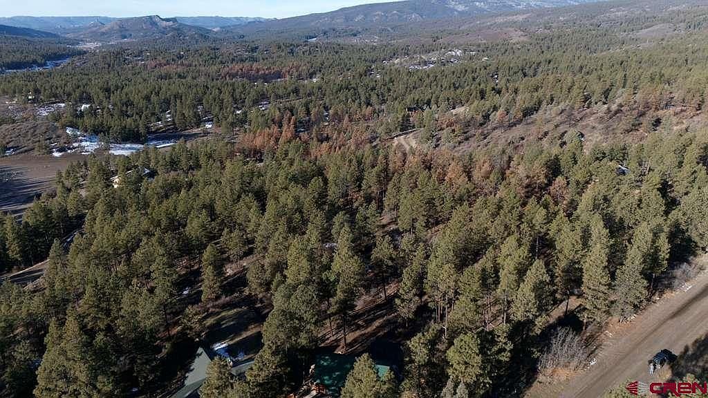 957 Starling Cir Pagosa Springs, CO 81147 - Thumbnail 4