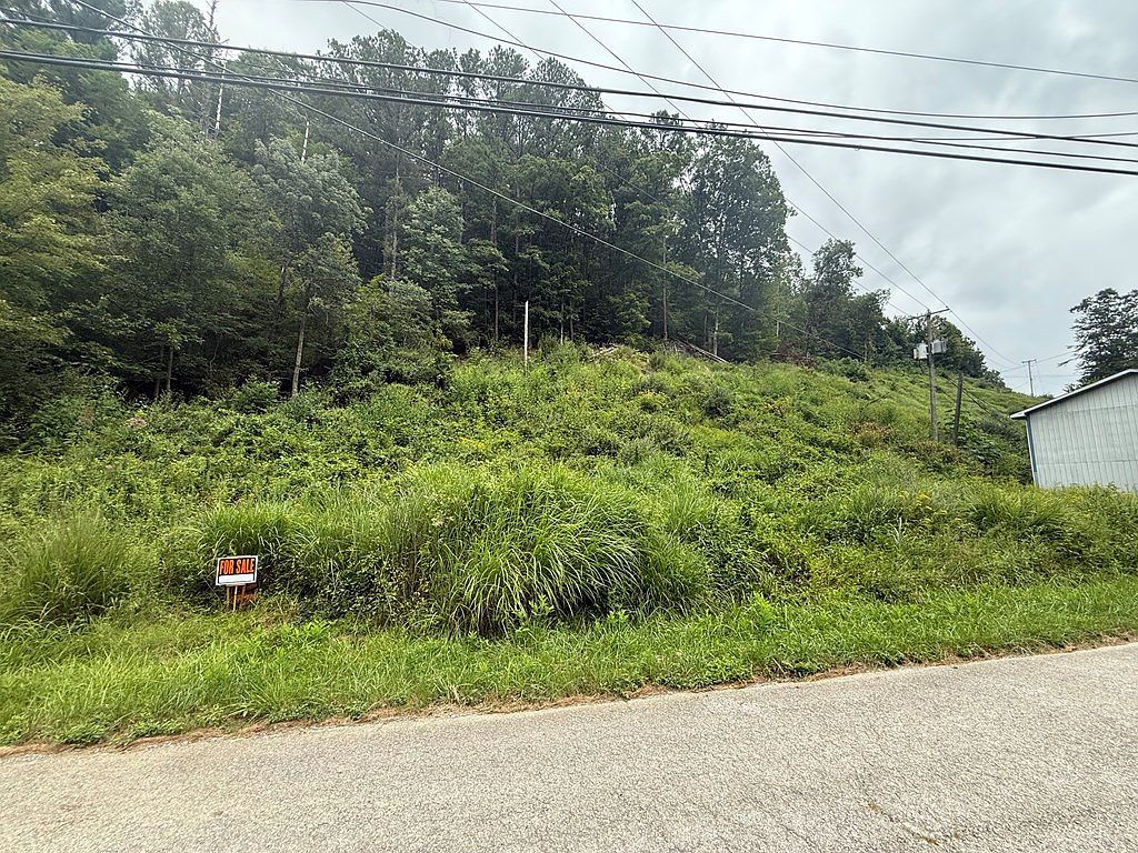 0 Kennedy Dr Chavies, KY 41727 - Thumbnail 4