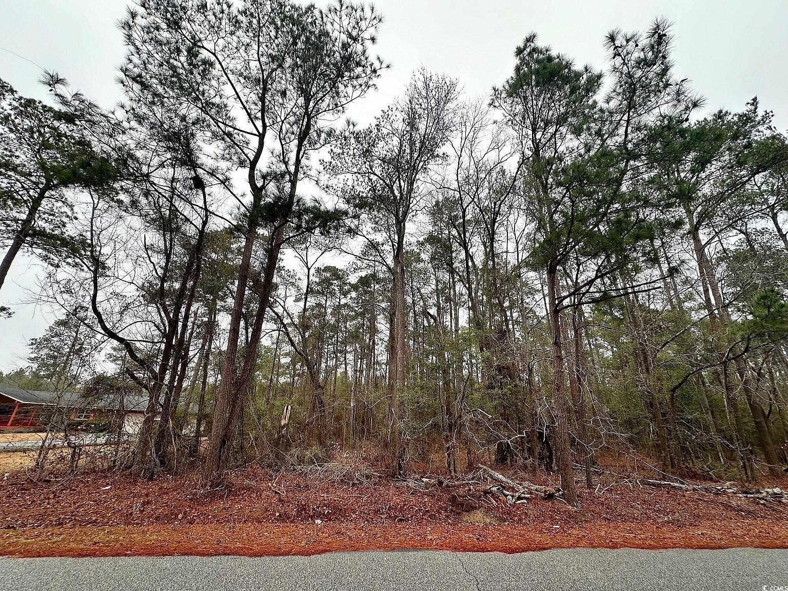 5370 Crutchlow Ct Nichols, SC 29581 - Thumbnail 4