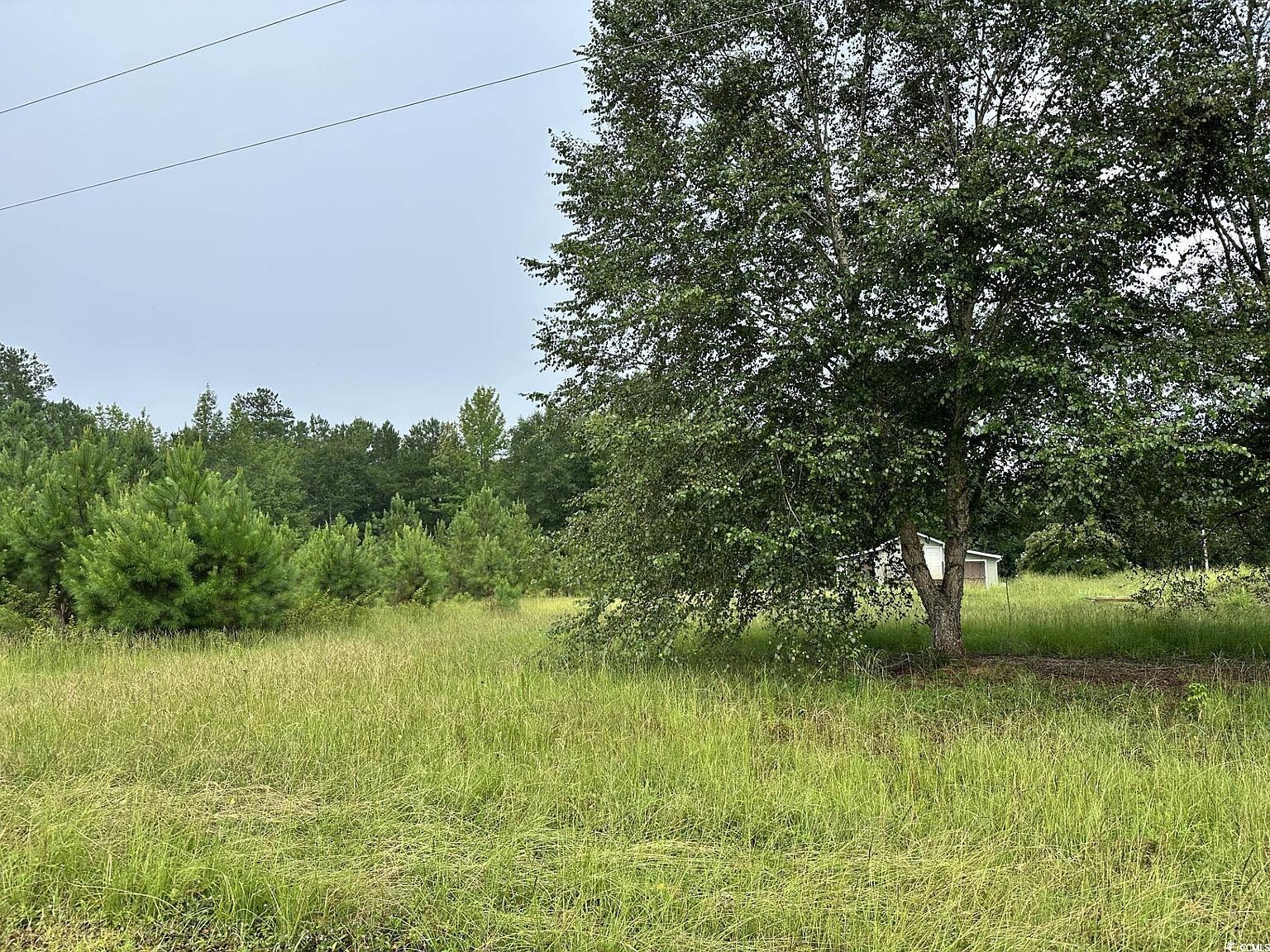 7023 New Bridge Rd Nichols, SC 29581 - Thumbnail 4