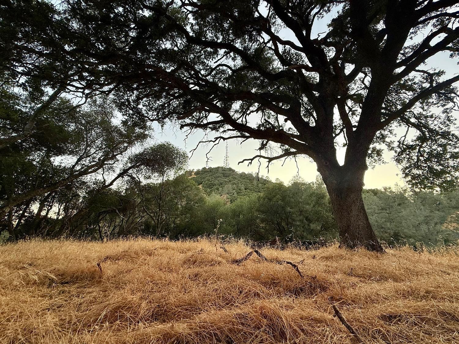 Lauren Ln Jackson, CA 95642 - Thumbnail 4