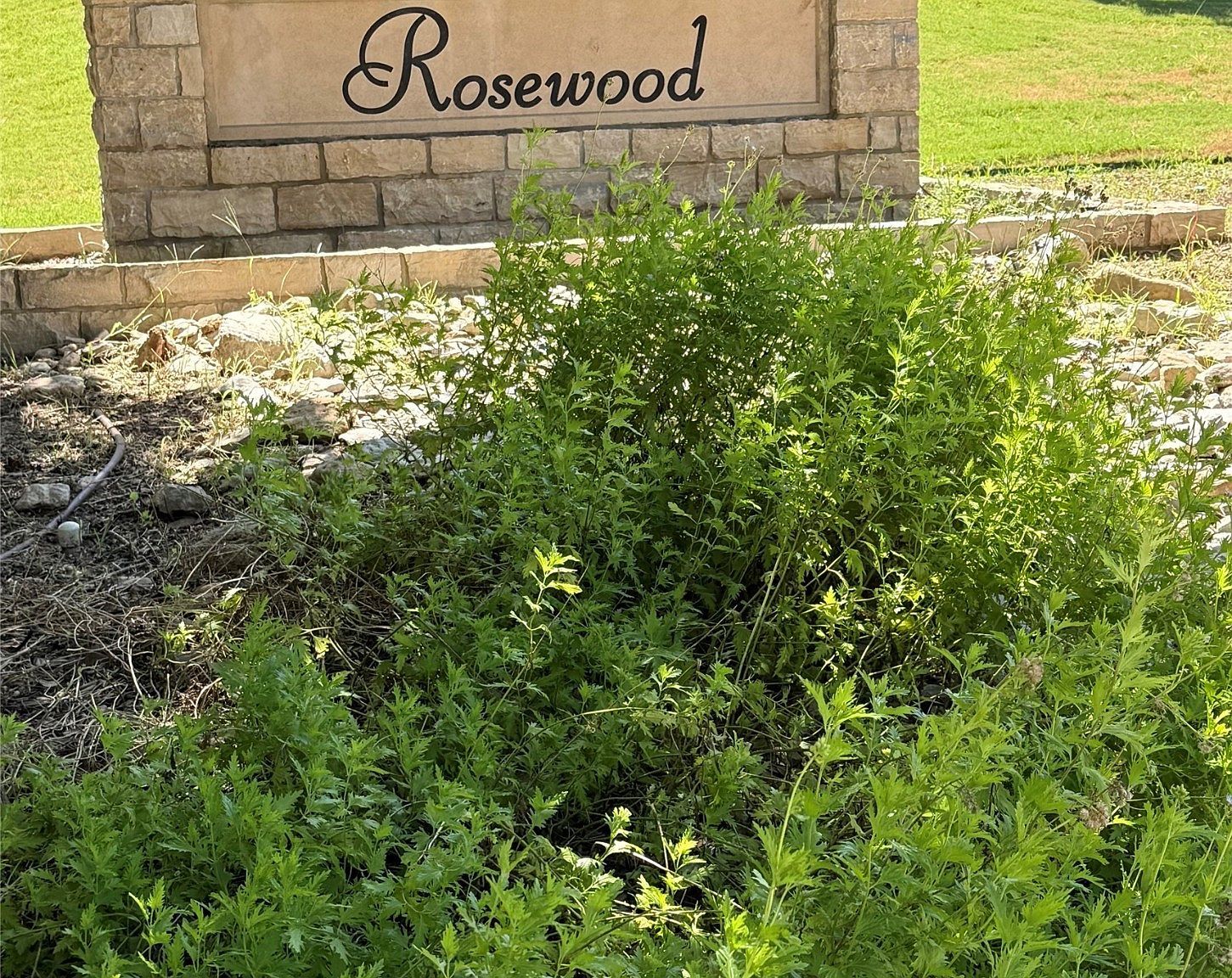 124 Dove Meadow Ln Glen Rose, TX 76043 - Thumbnail 4