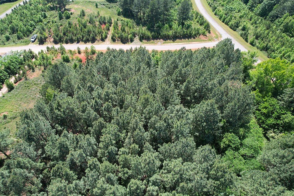 21 Belle Grove Dr Clarksville, VA 23927 - Thumbnail 4