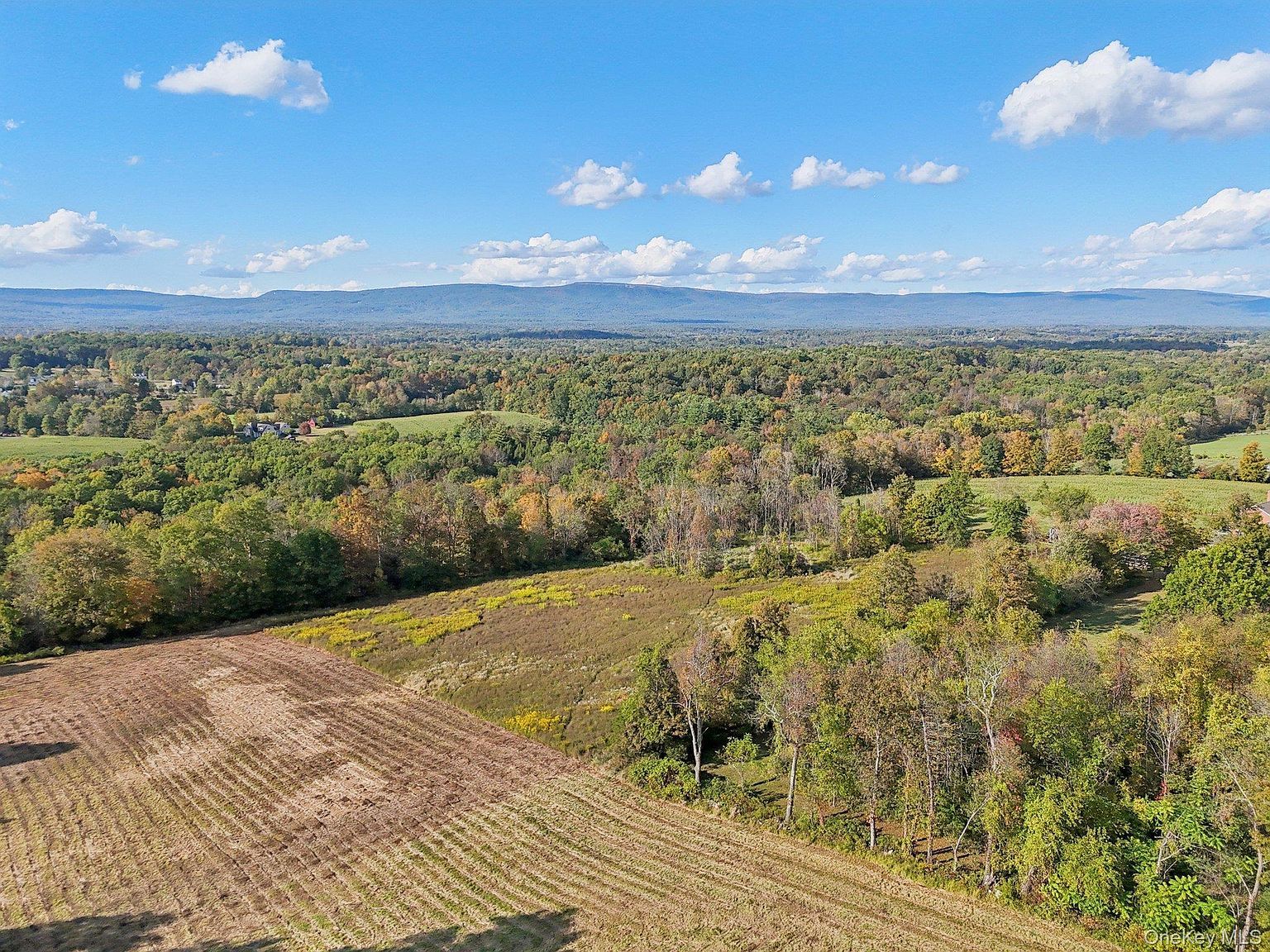 728 State Route 302 Pine Bush, NY 12566 - Thumbnail 4