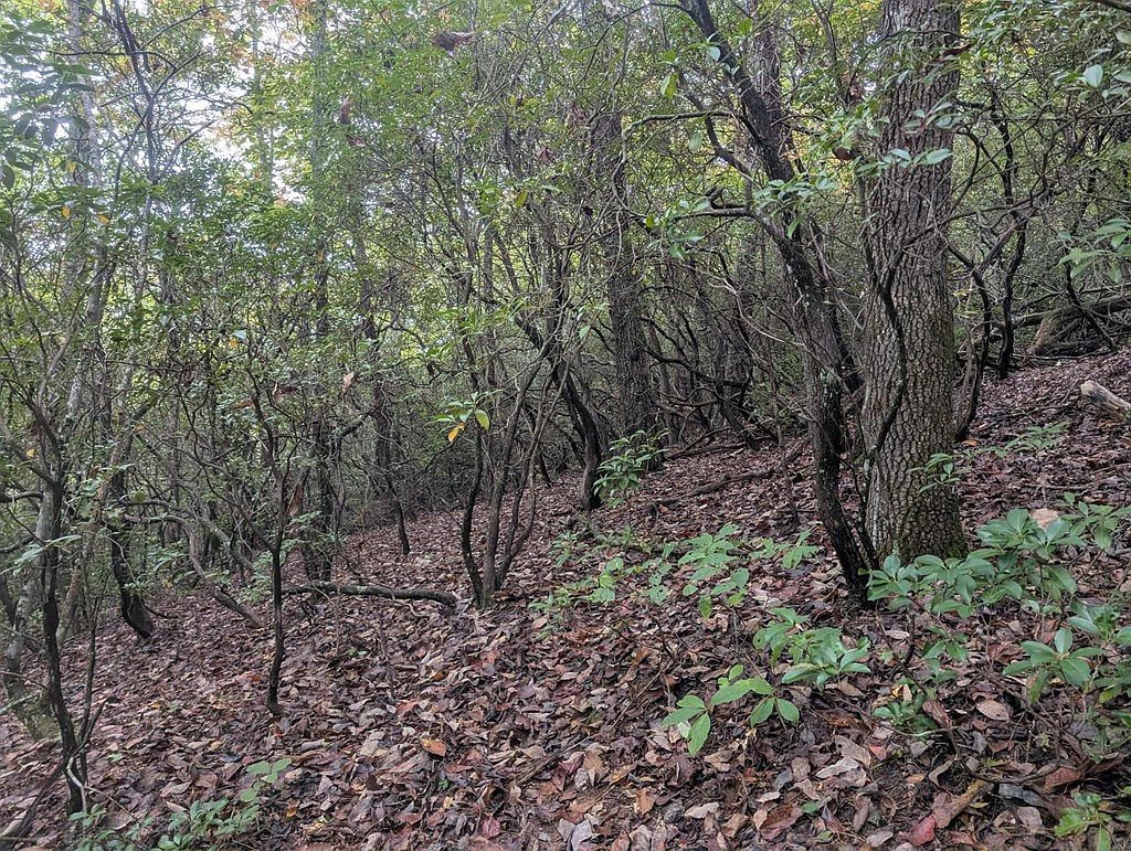 5.47 Ac Sierra Run Blairsville, GA 30512 - Thumbnail 4