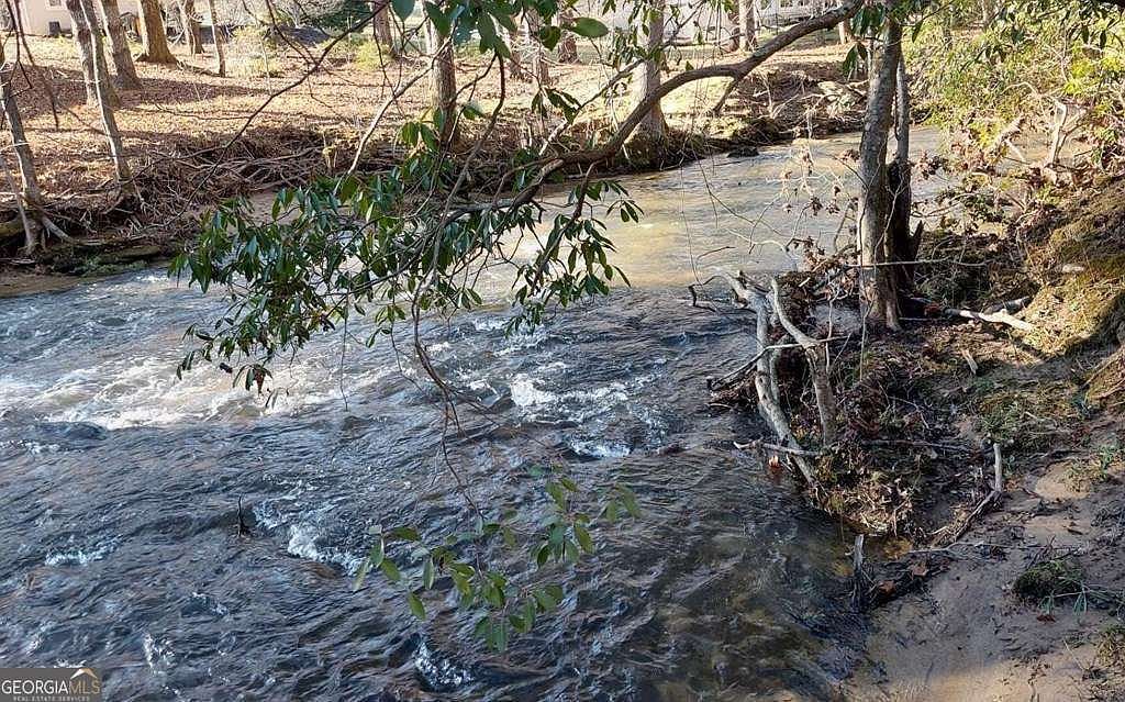 193 Opossum Rd #61 Blairsville, GA 30512 - Thumbnail 4