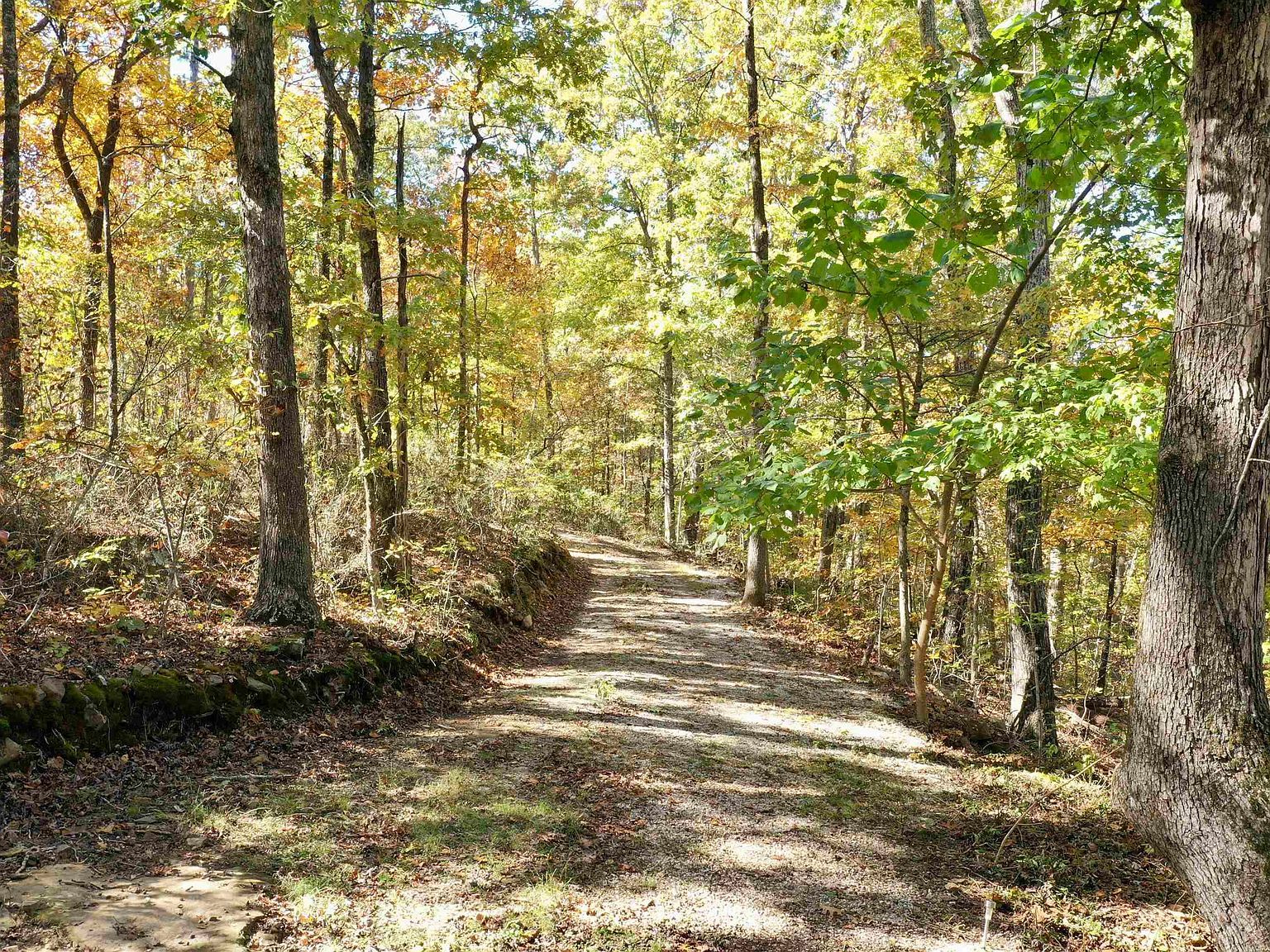 480 Hickory Hl Drasco, AR 72530 - Thumbnail 4